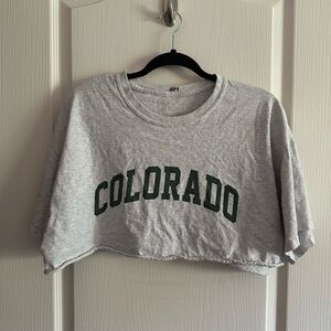 Grey cropped brandy Melville tee